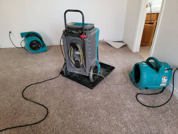 Best Water damage cleanup near me  in Setauket, NY