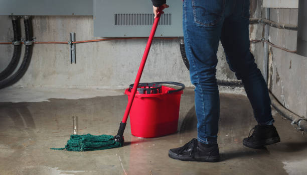Best Water damage restoration company  in Setauket, NY